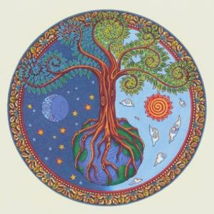 mandalas arbres de vie (16)