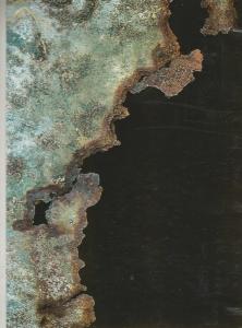 l'eau qui détruit, l'eau qui purifie 059 (Copier)