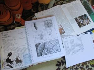 stage de libération créatrice 2017 (9)