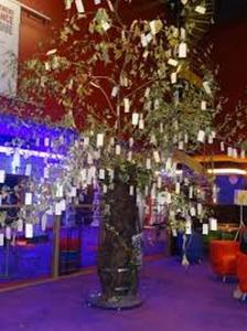 Projet l'arbre à palabres