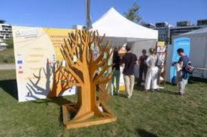 arbre à palabre (8) (Copier)