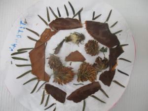 herbiers (2) (Copier)