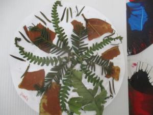 herbiers (3) (Copier)