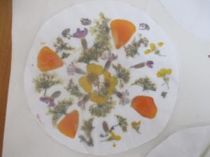 herbiers (6) (Copier)