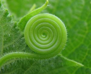 d13cd7c4fe2b908a761de2412509239e