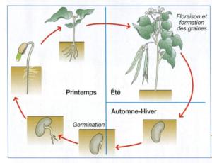 définition du mandala (18)