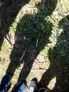 8 ème séance (5) (Copier)