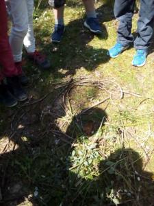 8 ème séance (6) (Copier)