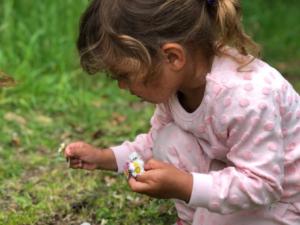 sortie visite de l'atelier + land art (25) (Copier)