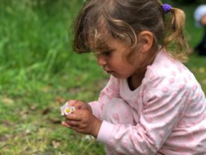 sortie visite de l'atelier + land art (26) (Copier)