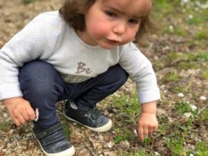 sortie visite de l'atelier + land art (32) (Copier)