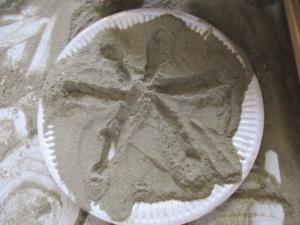 expérimentation avec sable (38) (Copier)